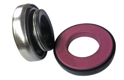 elastomer bellow seal